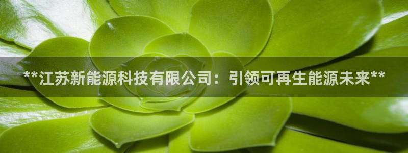 sunbet申搏app下载