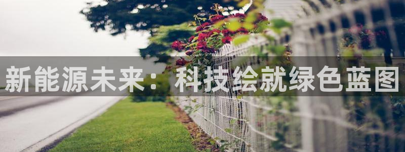 sunbet中文