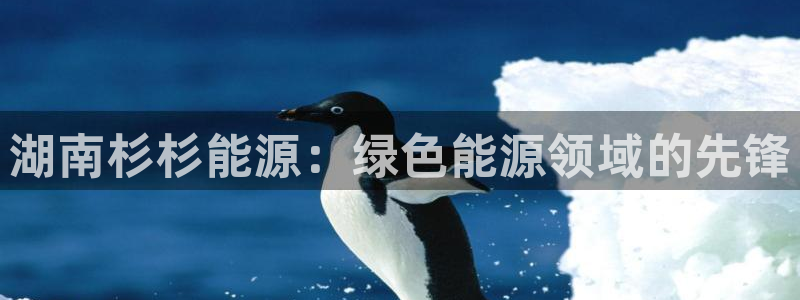sunbet官网app首页