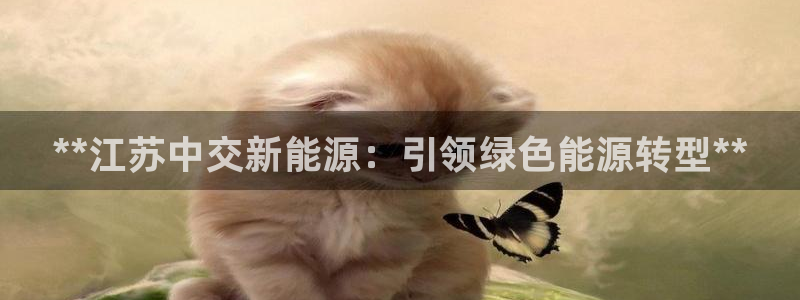 sunbet官网手机版