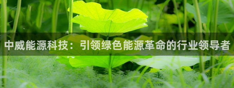 下载申搏sunbet并安装app