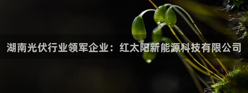 申慱sunbet版app