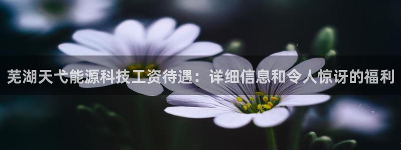 sunbet申搏app下载