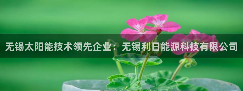 sunbet申搏官方网站