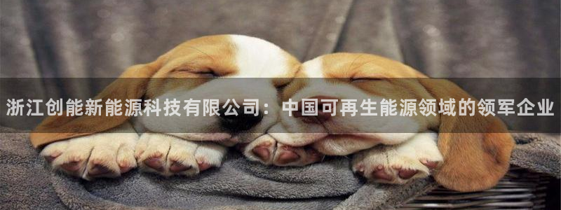 sunbet官网登录首页