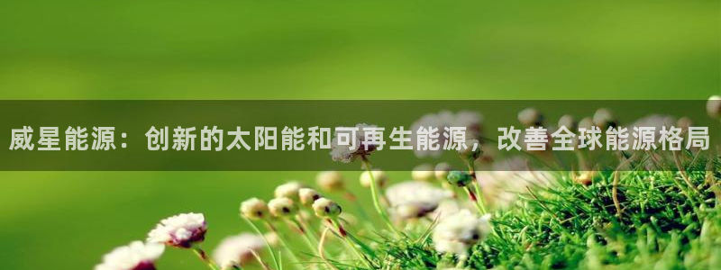 sunbet源码