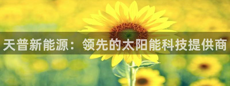 sunbet申搏官网