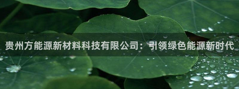 申博官方网站