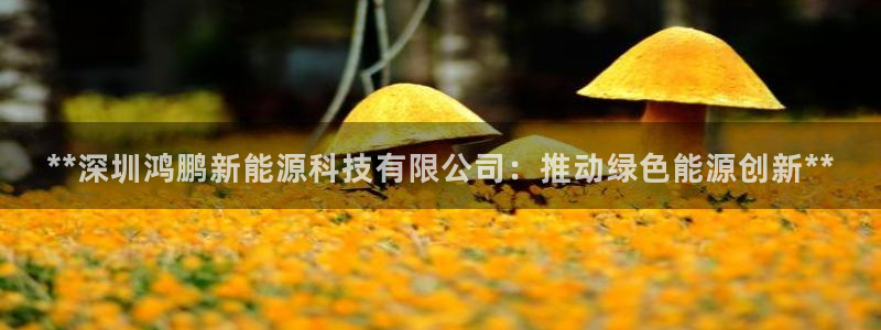 sunbet游戏最新版