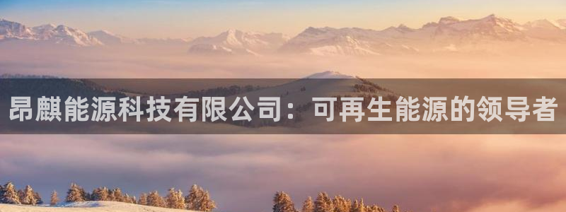 sunbet源码