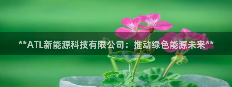sunbet官网welcome