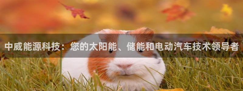 申博手机网站