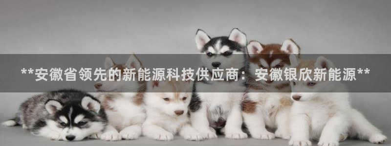 申博官网手机版下载app