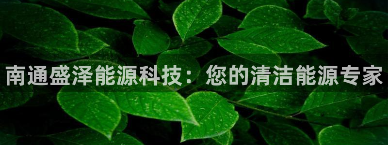 sunbet手机app版