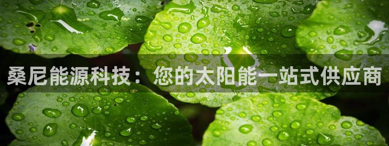 申博官方网站