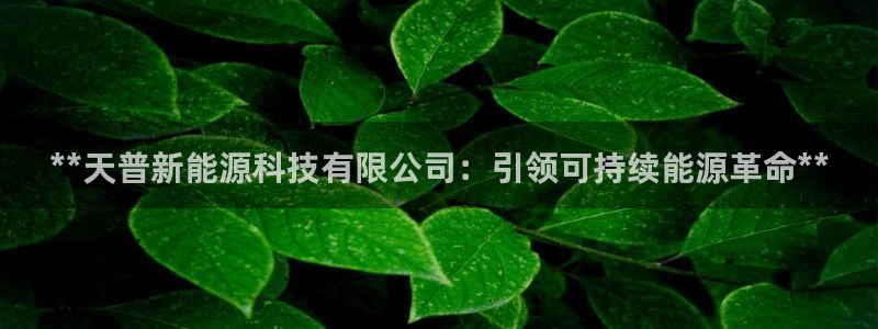 sunbet官网登录首页