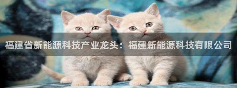 申博app下载