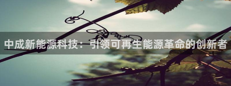 sunbet游戏