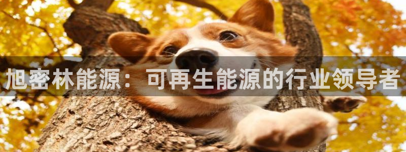 sunbet中国官网