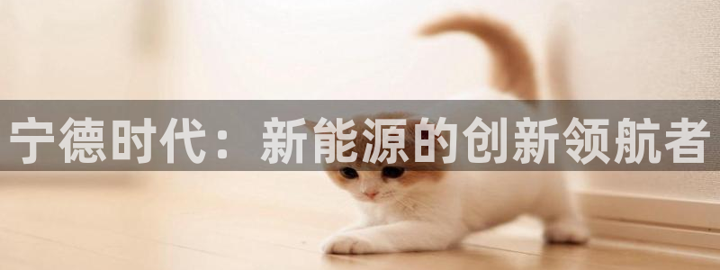 进入sunbet官网手机版登陆