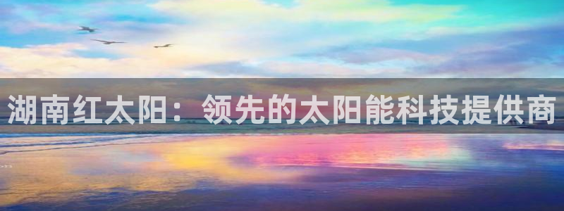 sunbet申搏平台