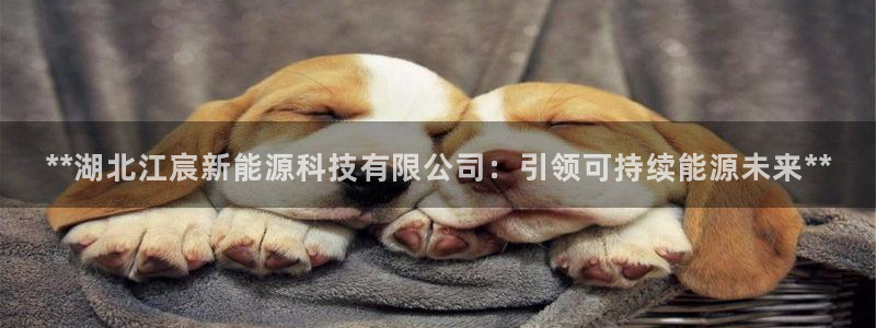 sunbet手机app版