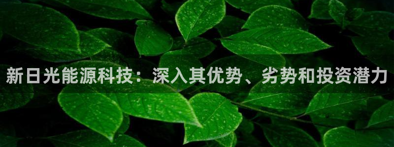 进入sunbet官网手机版登陆