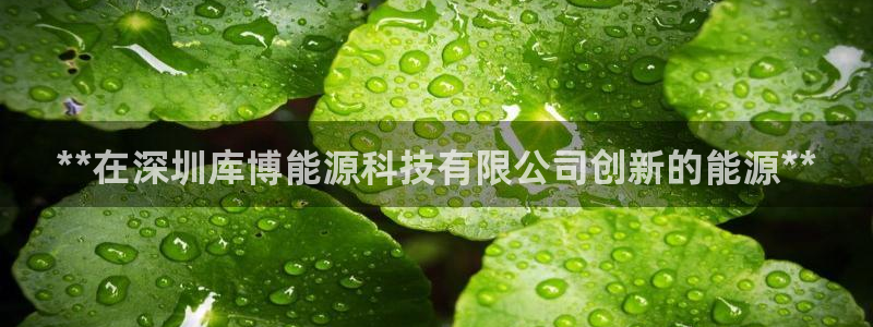 申博手机版app下载