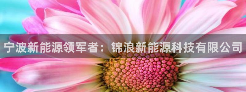 sunbet手机端