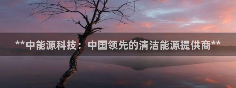 sunbet手机版官网下载