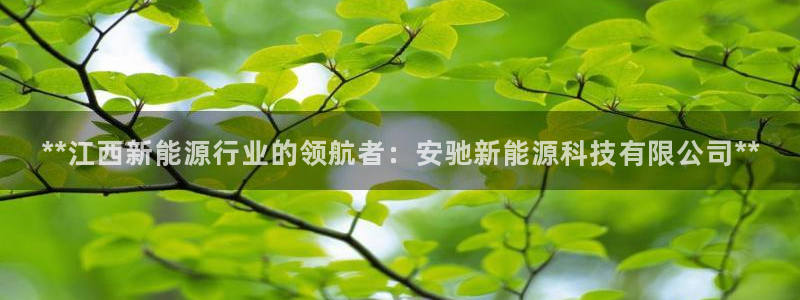 sunbet安卓下载