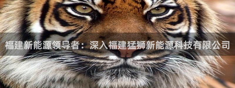 sunbet官网代理下载