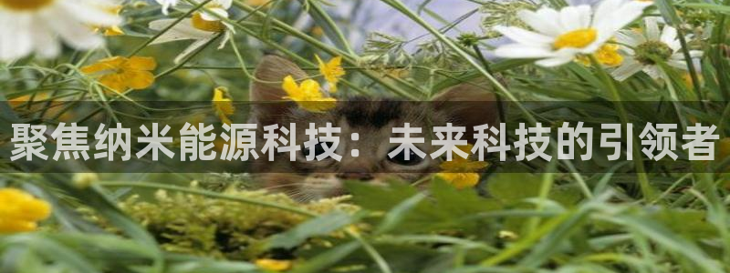 sunbet游戏网