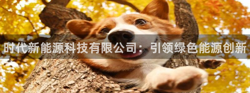 sunbet游戏网