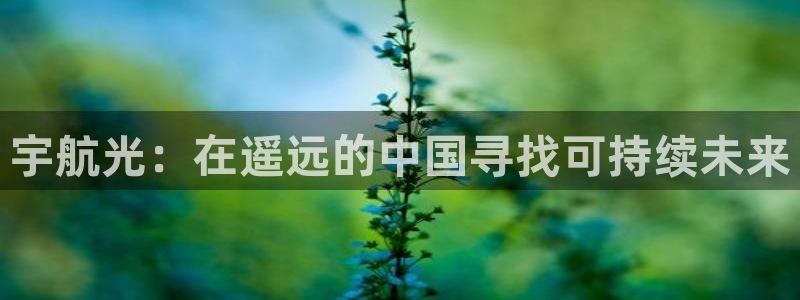 sunbet申搏平台