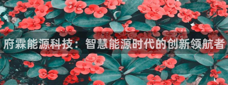 进入sunbet官网手机版登陆