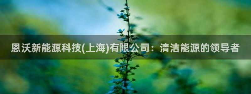 sunbet手机版登录