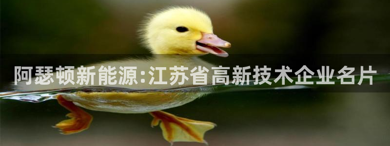 sunbet官网welcome
