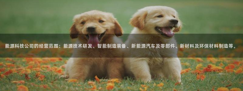 sunbet游戏最新版