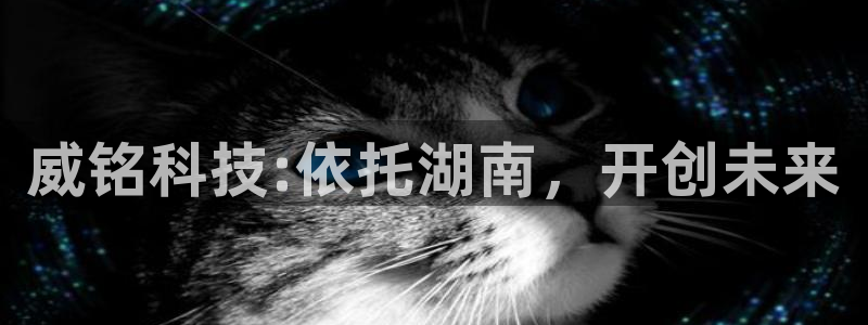 sunbet程序