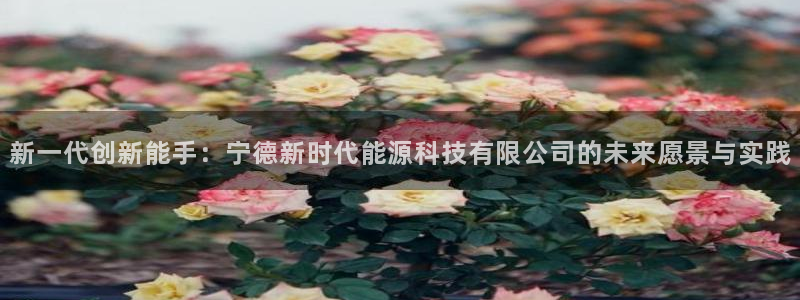 申博官网手机版下载app