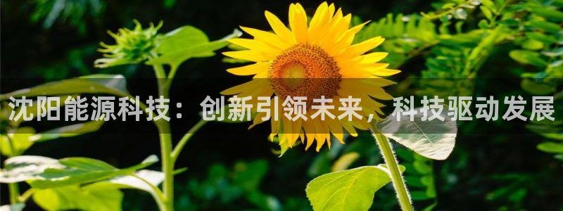 sunbet线上真人手机版
