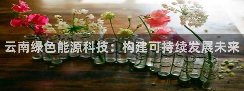 sunbet中国官网