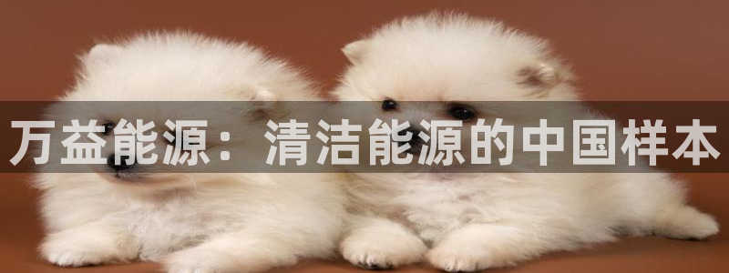 申慱sunbet网站