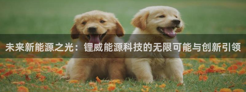 sunbet手机端