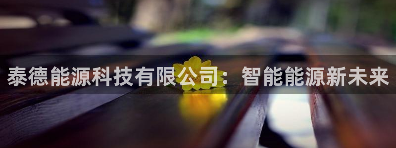 sunbet最新消息