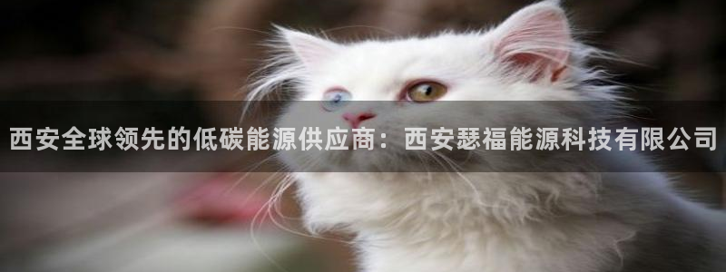 sunbet手机版官网下载