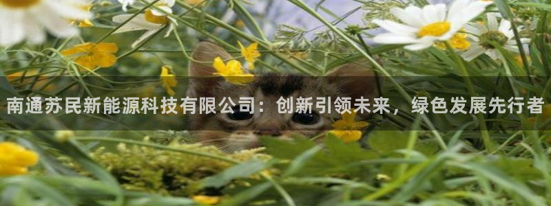 sunbet官网app首页