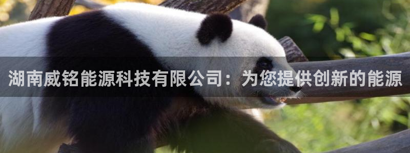 申博官网手机客户端