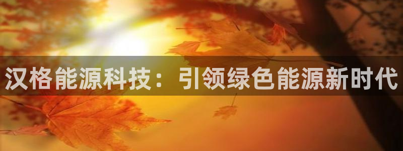 sunbet手机版官网下载
